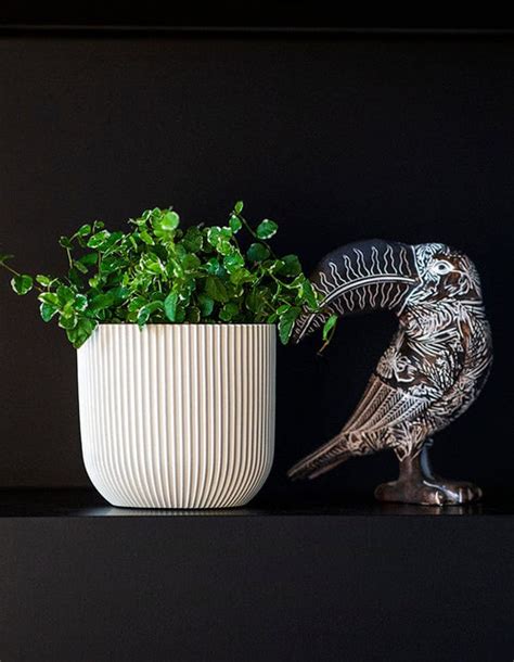 Buy Table Top Planters Online – Stylish Indoor Planters