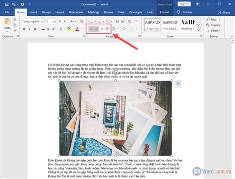 Image result for Net Core Entity Framework Example
