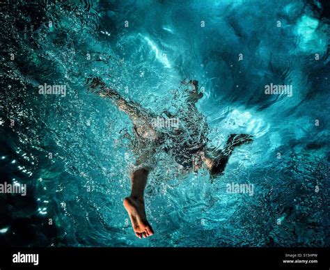 Swimming Fun 的图像结果