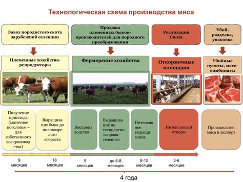 Бизнес планирование в животноводстве: Бизнес-план животноводства ...