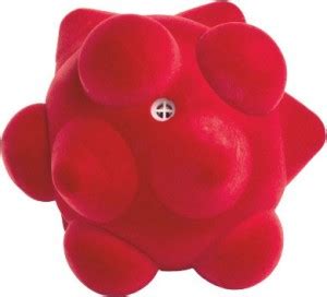 ISEO CHEMDIS Rubber Rubber Toy For Dog & Cat Price in India - Buy ISEO ...