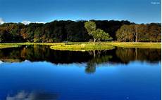 Nature Wallpaper For by Animals Zoo Park 3d Nature Hd Nature Wallpapers For Nature Wallpaper For