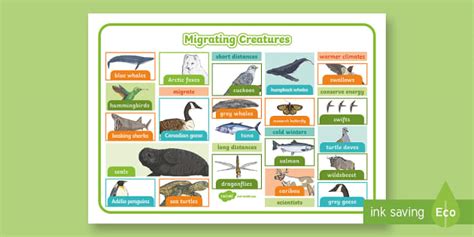 Migrating Creatures Word Mat
