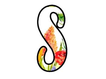 SPRING INTO THE RAINFOREST! Spring Bulletin Board Letters school ...