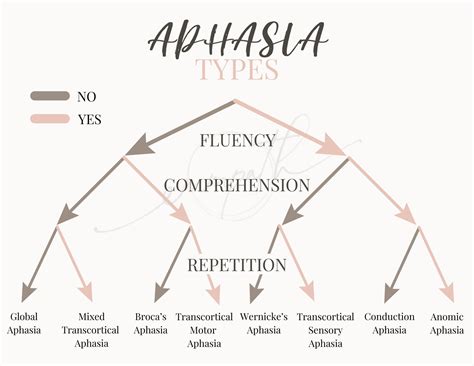 Image result for Aphasia Classification Chart