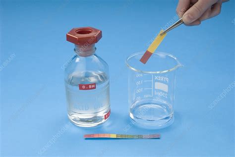 pH Testing 的图像结果