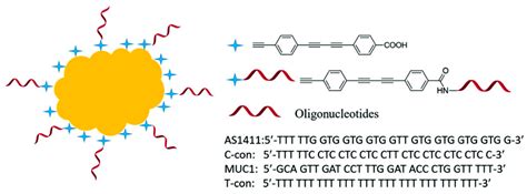 Development and Application of Aptamer-Based Surface-Enhanced Raman ...