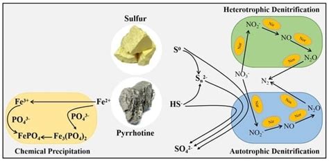 Simultaneous Removal of Nitrate and Phosphate in a Pyrrhotite and ...