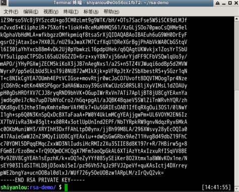 How to Pull RSA Token From EXEFile 的图像结果