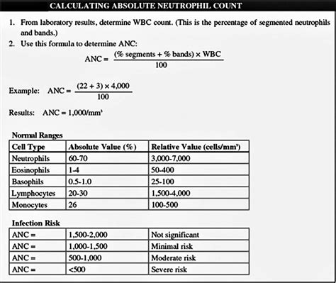 What Are Eosinophils Definition Low High Reference