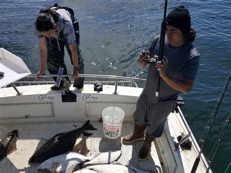 NAUTI CS (2026) All You Need to Know BEFORE You Go (with Photos ...