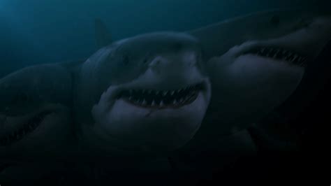 3-Headed Shark Attack Wallpapers - Wallpaper Cave