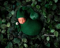 Image result for Newborn Baby Bunnies in Your Yard