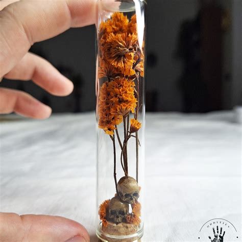 Buy Human Skull Stuff Online In India - Etsy India