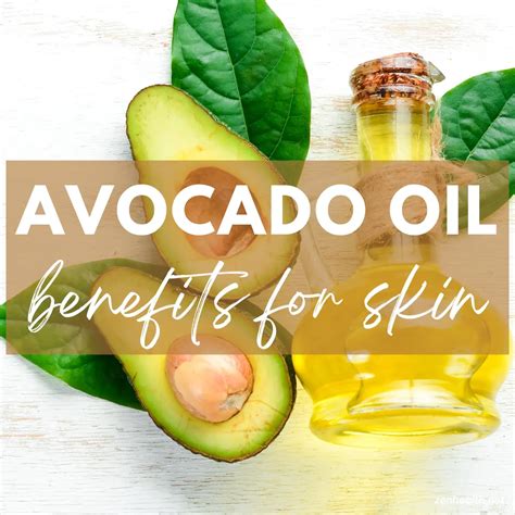 6 Incredible Benefits of Avocado Oil for Skin - Zenhealth