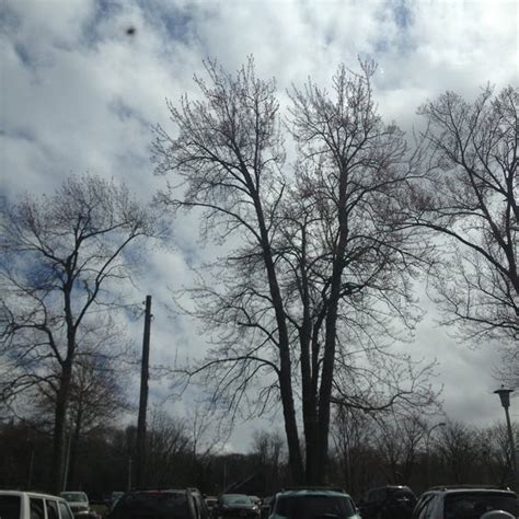 LIRR Cold Spring Harbor 的图像结果