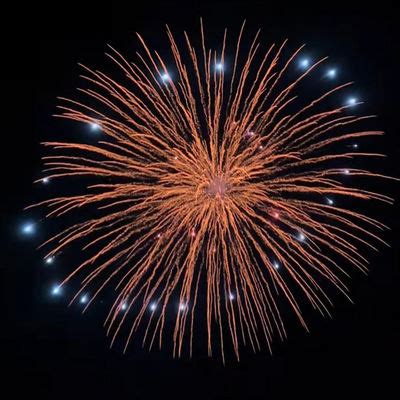 Image result for Display Shell Fireworks