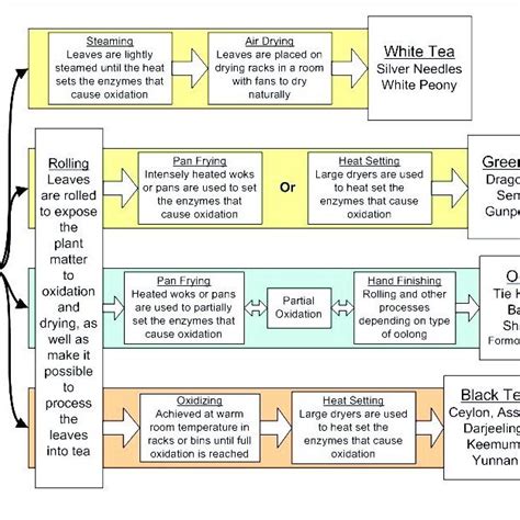 Image result for Tea Processing Steps