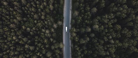Download wallpaper 2560x1080 road, forest, aerial view, trees, tops ...