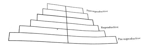Draw and explain expanding age pyramids of human population. Why is it ...