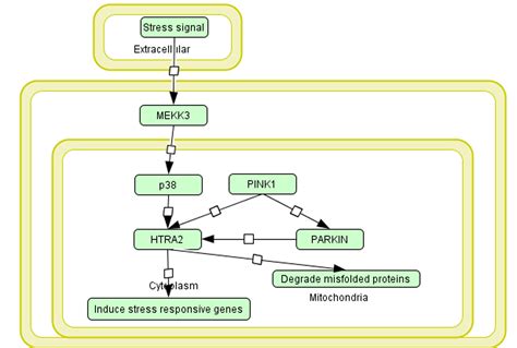 NeuroDNet : : Disease Models