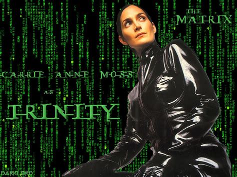 Image result for Matrix Trinity Scenes