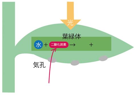 Learn OS Module Python From Beginning に対する画像結果