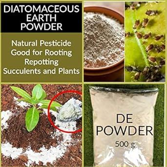 500 Grams Gamazine Powder for Pest Control,Ant Killer, and Repellent ...