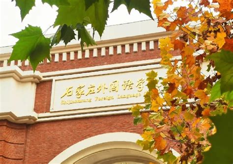 石家庄康福外国语学校初中部2023年报名条件、招生要求、招生对象