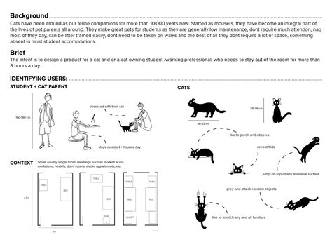 CATSTER | CEPT - Portfolio