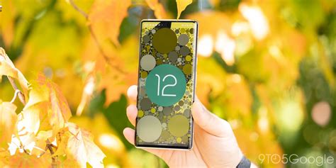 Image result for Google Android 12