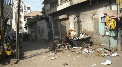 HOTEL WHITE ROSE (Bhavnagar, Gujarat) - Hotel Reviews, Photos, Rate ...