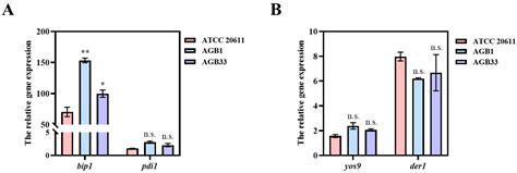 High-Level Expression of β-Glucosidase in Aspergillus niger ATCC 20611 ...