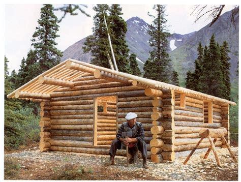 Log Cabin Building Process 的图像结果