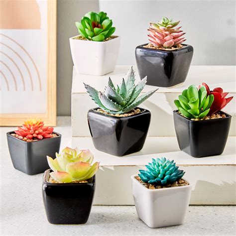 Buy Garnet Garden Artificial Fred Succulent in Ceramic Planter from ...