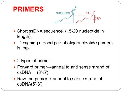 Image result for Front-Loading Primer