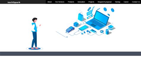 TechSpark Software Development - Computer & Webdesign Services In ...
