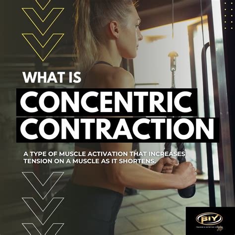 Examples of Concentric Contraction Exercises 的图像结果