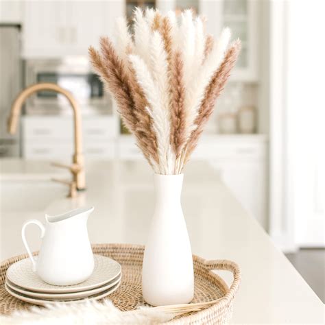 Neutral Vase For Pampas Grass at Wendell Espinoza blog
