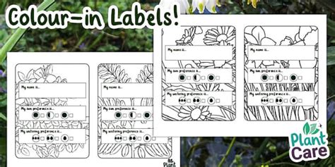 Colour In Plant Pot Care Labels (teacher made) - Twinkl
