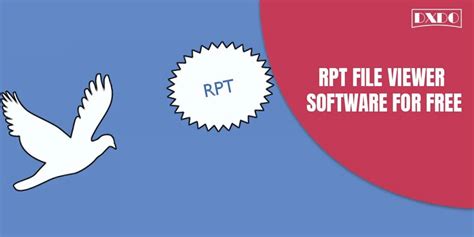 Image result for Rp File Viewer