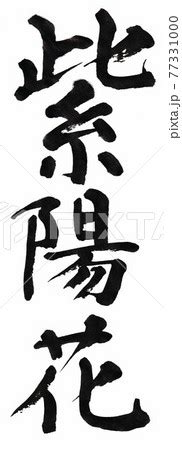 Image result for Computer Practical File.pdf