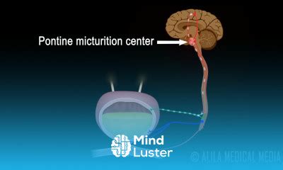 mication