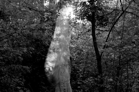 Image result for Dryad Programming