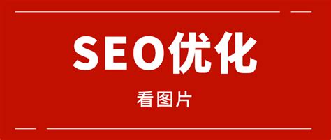 SEO站长工具下载-站长工具SEO客户端下载2.0.1.0官方版-西西软件下载