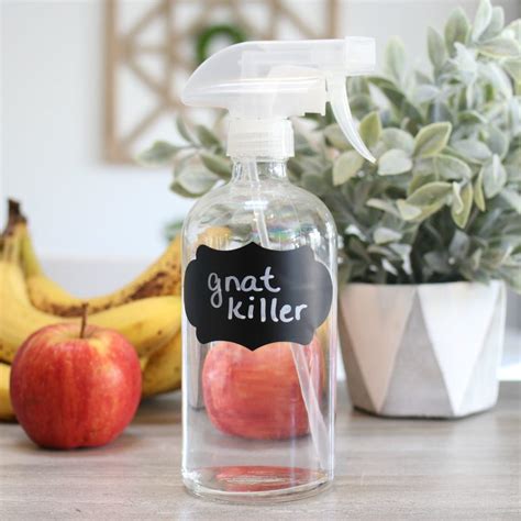 3 Ingredient Homemade Gnat Killer