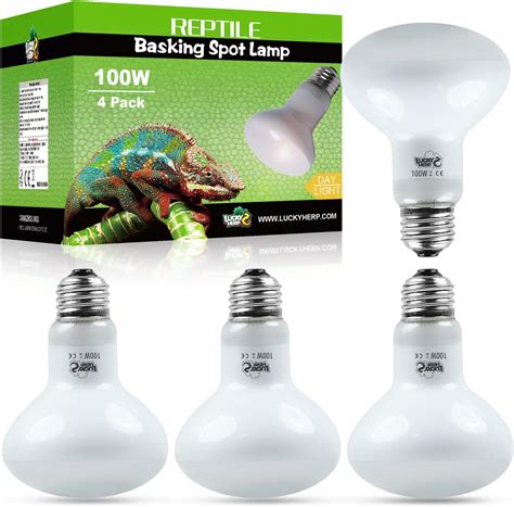 (6 Pack) SHATTERPROOF Light Bulb A19 100 WATT Incandescent Bulb Shatter ...