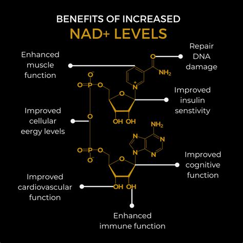 Supplement - John Rose Eyecare