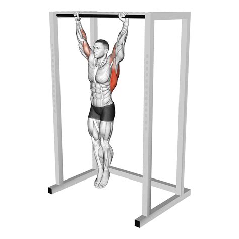 Pull Arm Exercises 的图像结果