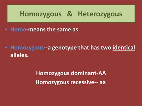 PPT - Homozygous and Heterozygous Traits in Genetics PowerPoint Presentation - ID:8677566